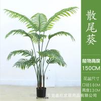 XU0612661